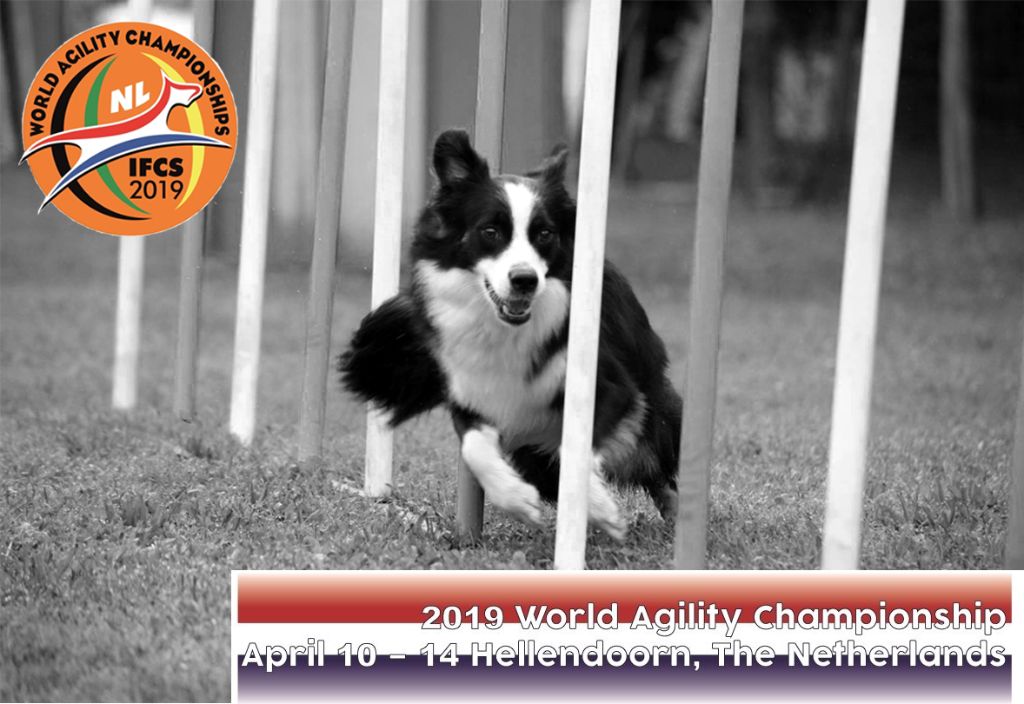 World Agility Championship IFCS 2019