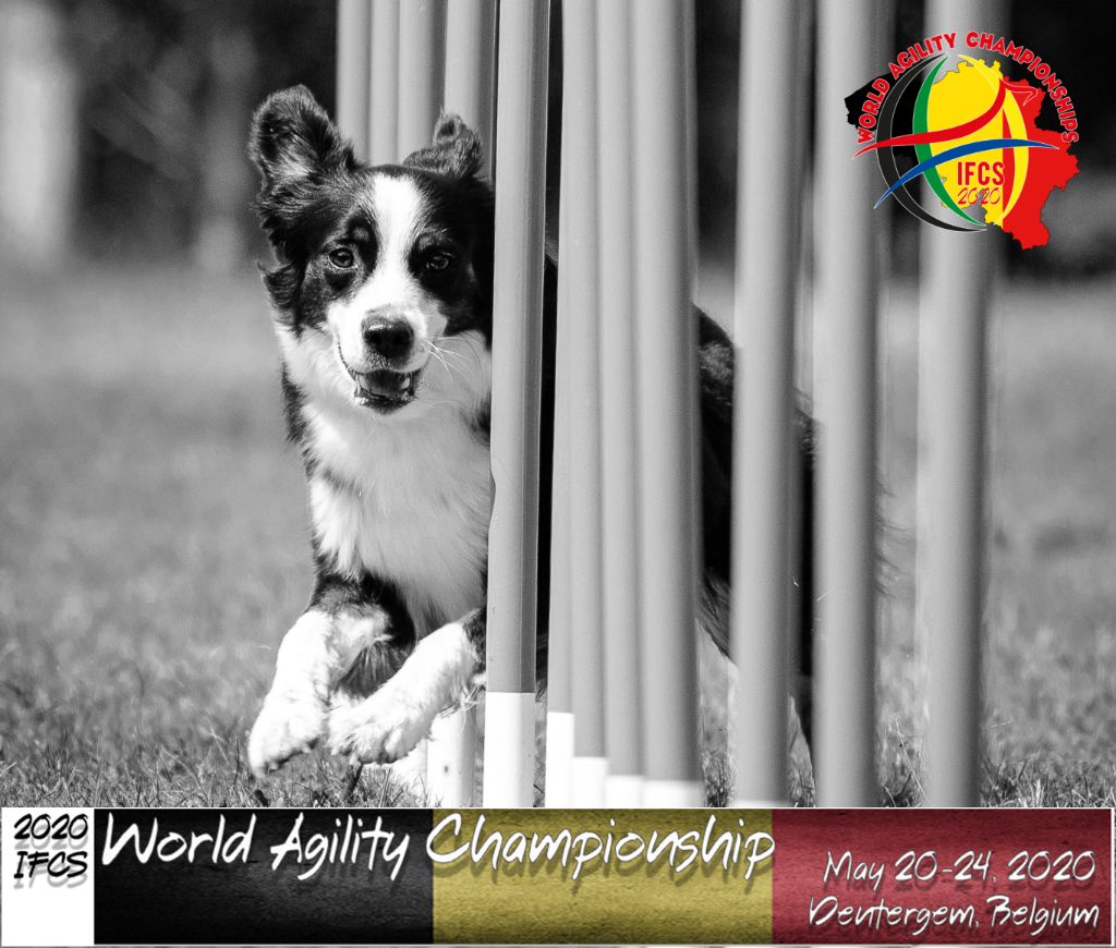 World Agility Championship IFCS 2020